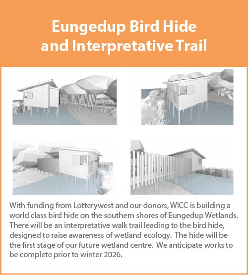 Bird-Hide – WICC